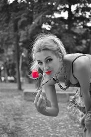 &quot;Flower Delivery Cheap Brisbane